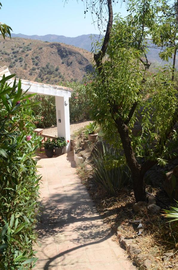 Casa Del Limon Appartement Canillas de Aceituno Buitenkant foto