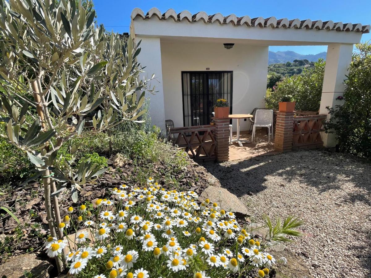 Casa Del Limon Appartement Canillas de Aceituno Buitenkant foto